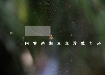 网贷逾期三年没能力还款 网贷逾期三年没能力还款