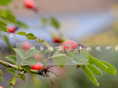 网贷逾期三年法院仲裁是真是假 网贷逾期三年法院仲裁是真是假