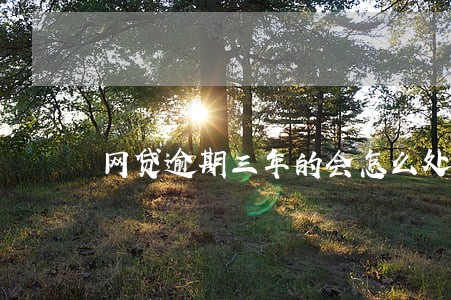 网贷逾期三年的会怎么处理 网贷逾期三年的会怎么处理