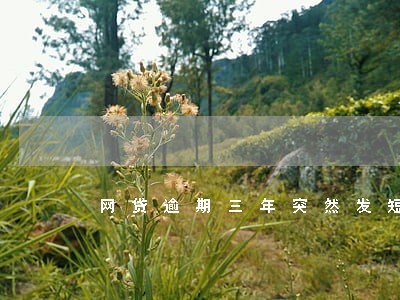 网贷逾期三年突然发短信 网贷逾期三年突然发短信