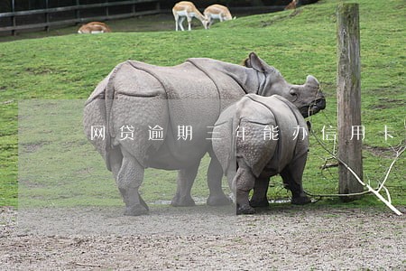 网贷逾期三年能办信用卡吗 网贷逾期三年能办信用卡吗