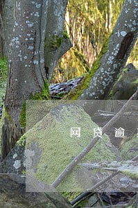 网贷逾期三年能房贷吗 网贷逾期三年能房贷吗