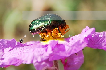 网贷逾期三年被上诉如何处理 网贷逾期三年被上诉如何处理