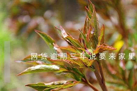 网贷逾期三年说要来家里调查 网贷逾期三年说要来家里调查