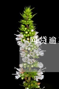 网贷逾期三年还在催收 网贷逾期三年还在催收