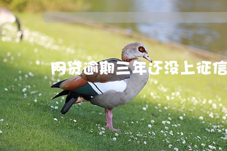 网贷逾期三年还没上征信 网贷逾期三年还没上征信