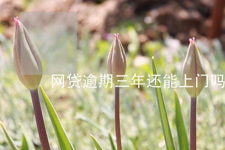 网贷逾期三年还能上门吗 网贷逾期三年还能上门吗