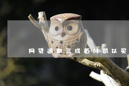 网贷逾期三成首付可以买车吗 网贷逾期三成首付可以买车吗