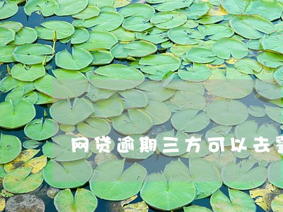 网贷逾期三方可以去警察局立案吗 网贷逾期三方可以去警察局立案吗
