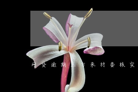 网贷逾期三方来村委核实合法吗 网贷逾期三方来村委核实合法吗