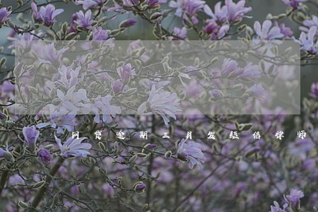 网贷逾期三月发短信律师函 网贷逾期三月发短信律师函