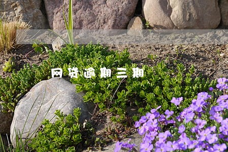 网贷逾期三期 网贷逾期三期