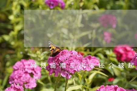 网贷逾期三次未还会被起诉 网贷逾期三次未还会被起诉