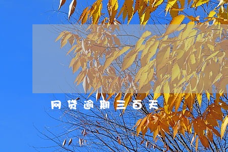 网贷逾期三百天 网贷逾期三百天