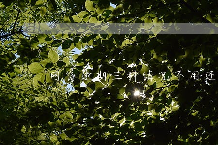 网贷逾期三种情况不用还 网贷逾期三种情况不用还