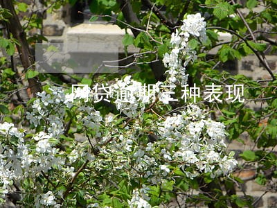网贷逾期三种表现 网贷逾期三种表现