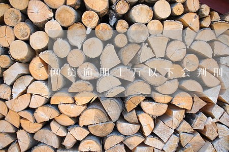 网贷逾期上万以下会判刑吗 网贷逾期上万以下会判刑吗