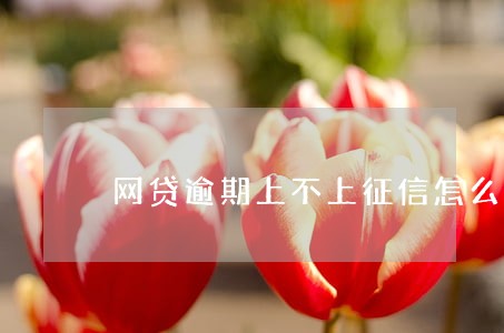 网贷逾期上不上征信怎么查询 网贷逾期上不上征信怎么查询