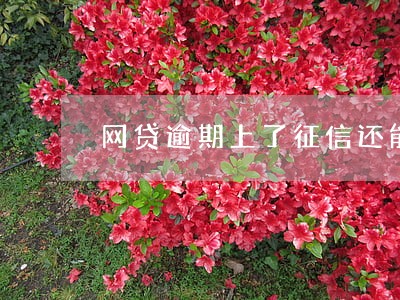 网贷逾期上了征信还能贷款 网贷逾期上了征信还能贷款