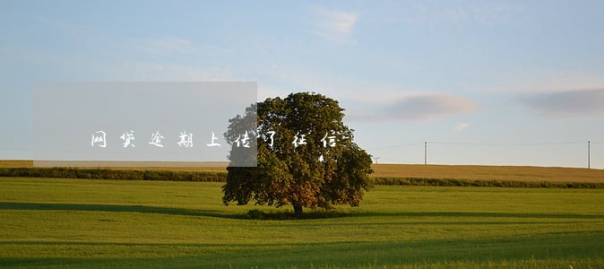 网贷逾期上传了征信 网贷逾期上传了征信