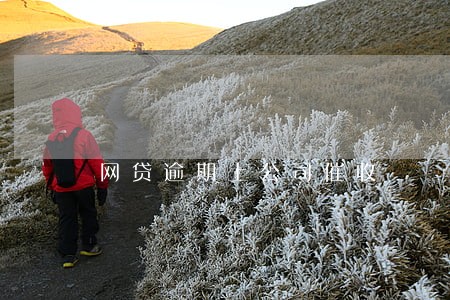 网贷逾期上公司催收 网贷逾期上公司催收