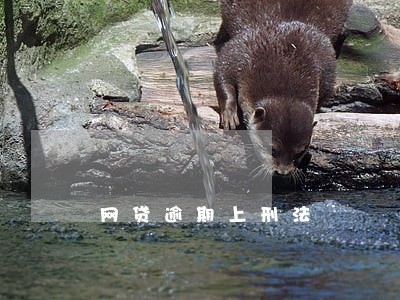 网贷逾期上刑法 网贷逾期上刑法