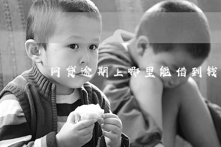 网贷逾期上哪里能借到钱 网贷逾期上哪里能借到钱