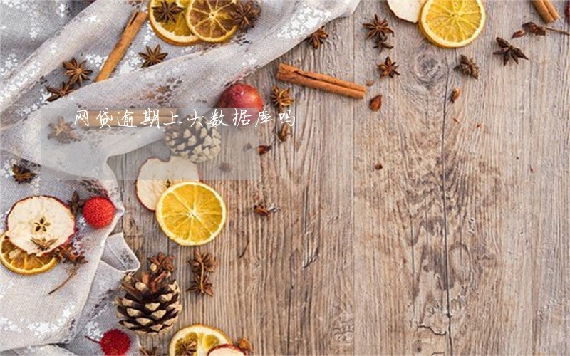 网贷逾期上大数据库吗 网贷逾期上大数据库吗