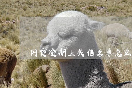 网贷逾期上失信名单怎么消掉
