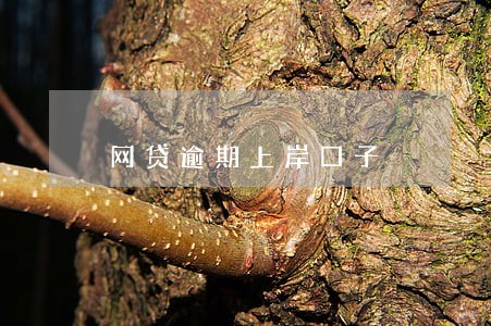网贷逾期上岸口子 网贷逾期上岸口子