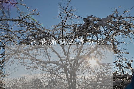网贷逾期上岸方法