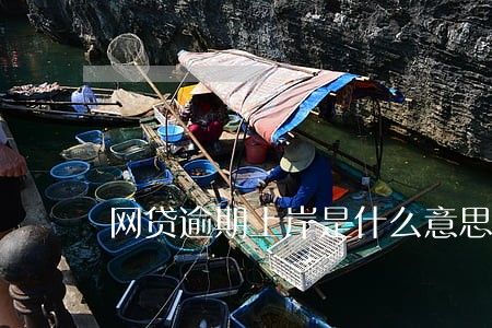网贷逾期上岸是什么意思 网贷逾期上岸是什么意思