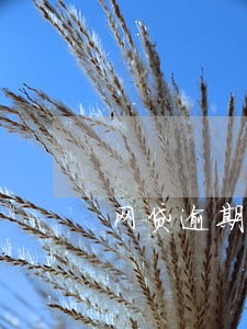 网贷逾期上征 网贷逾期上征