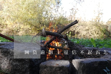 网贷逾期上征信不起诉怎么办 网贷逾期上征信不起诉怎么办