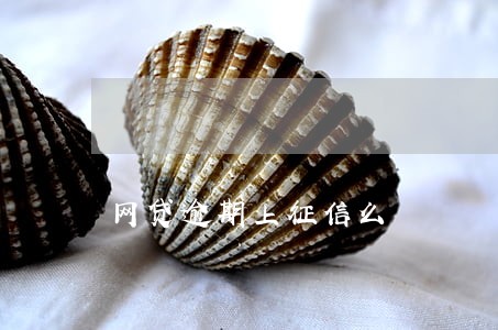 网贷逾期上征信么 网贷逾期上征信么