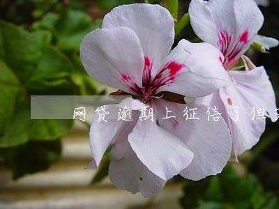 网贷逾期上征信了但又还上了
