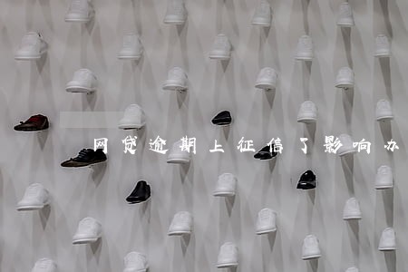 网贷逾期上征信了影响办信用卡