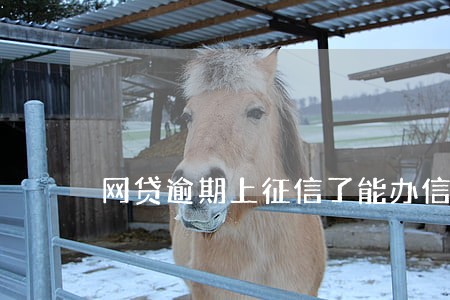 网贷逾期上征信了能办信用卡 网贷逾期上征信了能办信用卡