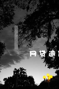 网贷逾期上征信了还能买车吗 网贷逾期上征信了还能买车吗
