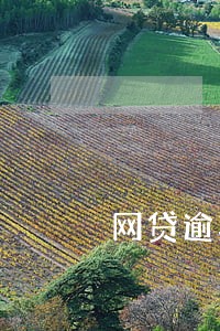 网贷逾期上征信二次黑名单 网贷逾期上征信二次黑名单