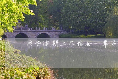 网贷逾期上征信会一辈子吗 网贷逾期上征信会一辈子吗