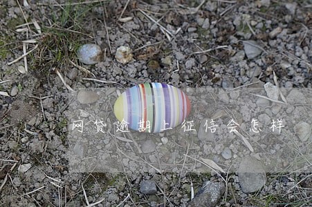 网贷逾期上征信会怎样 网贷逾期上征信会怎样