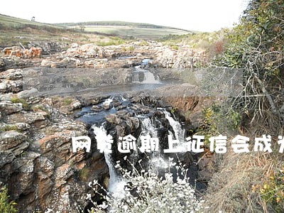 网贷逾期上征信会成为黑户吗 网贷逾期上征信会成为黑户吗
