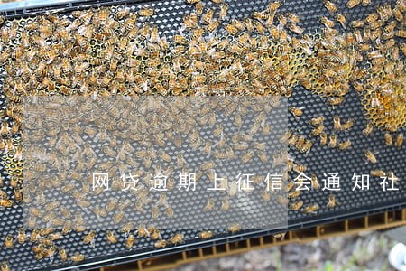网贷逾期上征信会通知社区嘛 网贷逾期上征信会通知社区嘛