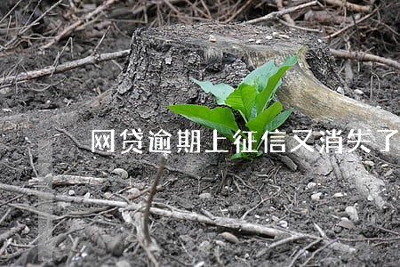 网贷逾期上征信又消失了 网贷逾期上征信又消失了