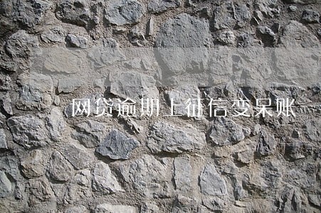 网贷逾期上征信变呆账 网贷逾期上征信变呆账
