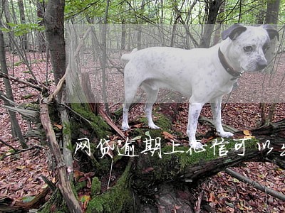 网贷逾期上征信可以出国吗 网贷逾期上征信可以出国吗