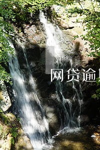 网贷逾期上征信可以贷款吗 网贷逾期上征信可以贷款吗