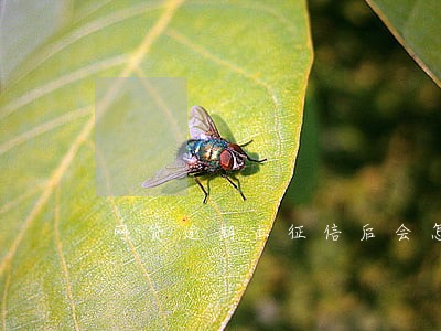 网贷逾期上征信后会怎样 网贷逾期上征信后会怎样
