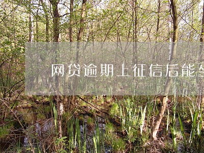 网贷逾期上征信后能坐高铁吗 网贷逾期上征信后能坐高铁吗